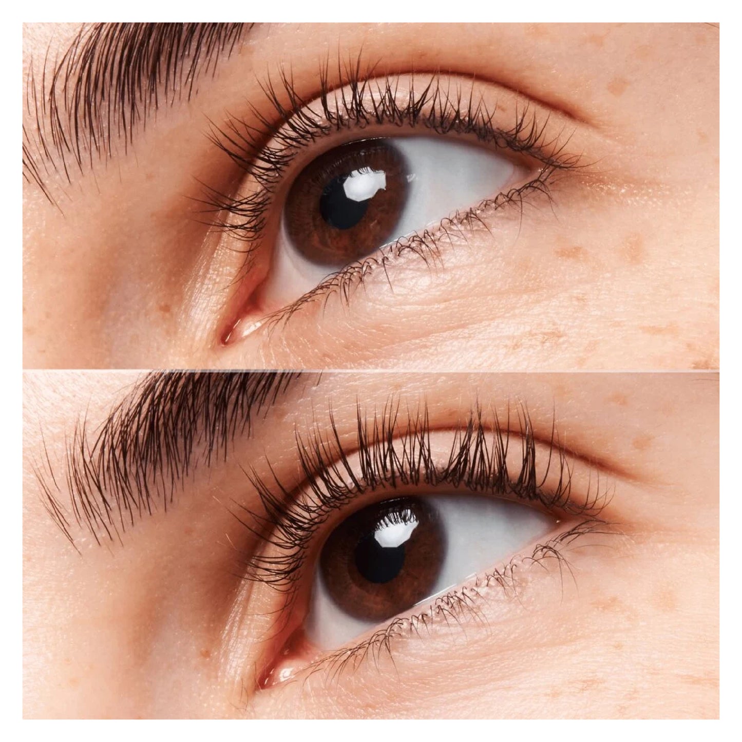 Catrice Sérum Para Cejas Y Pestañas Caffeine Kick