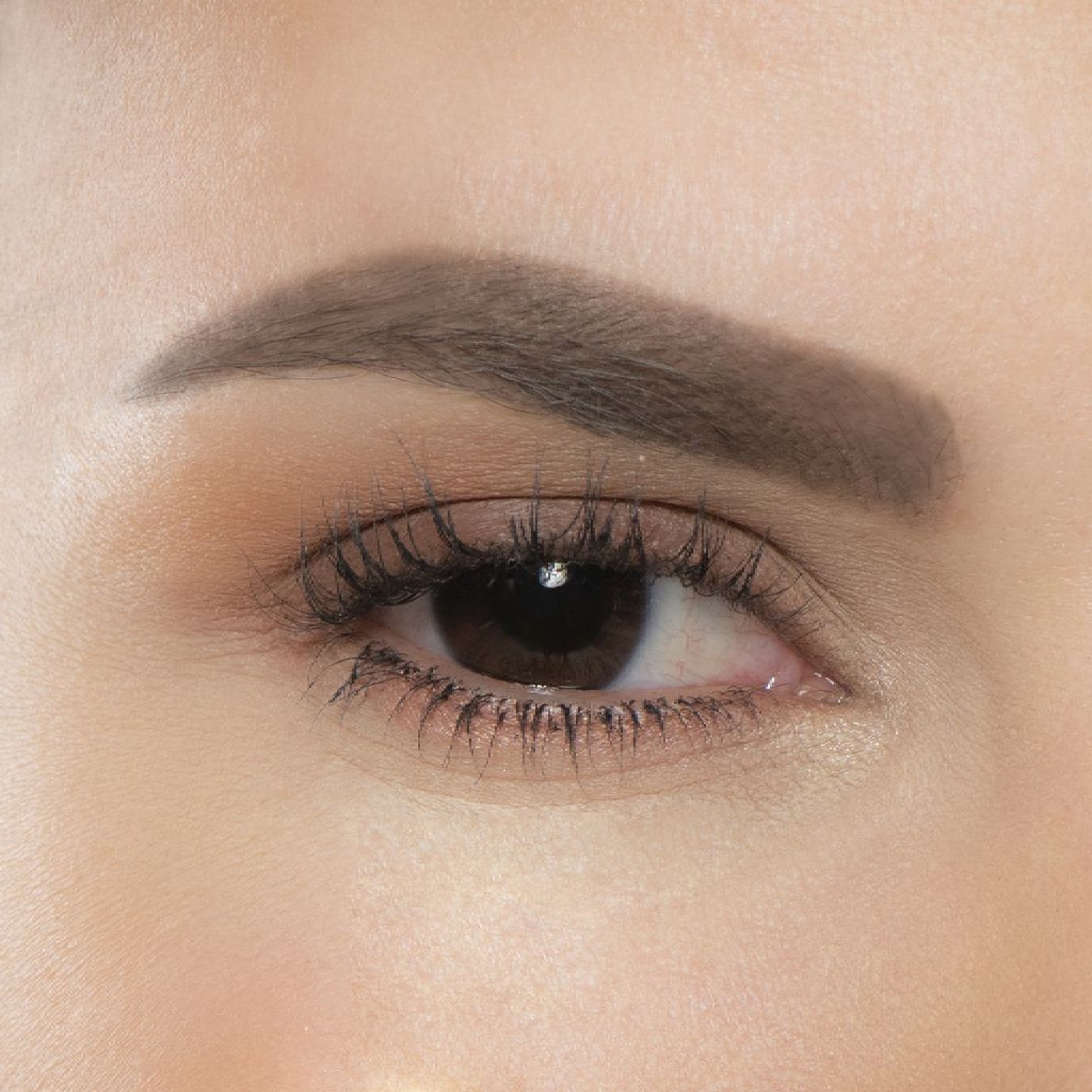 Vogue Tinta de Cejas Resist - Camel