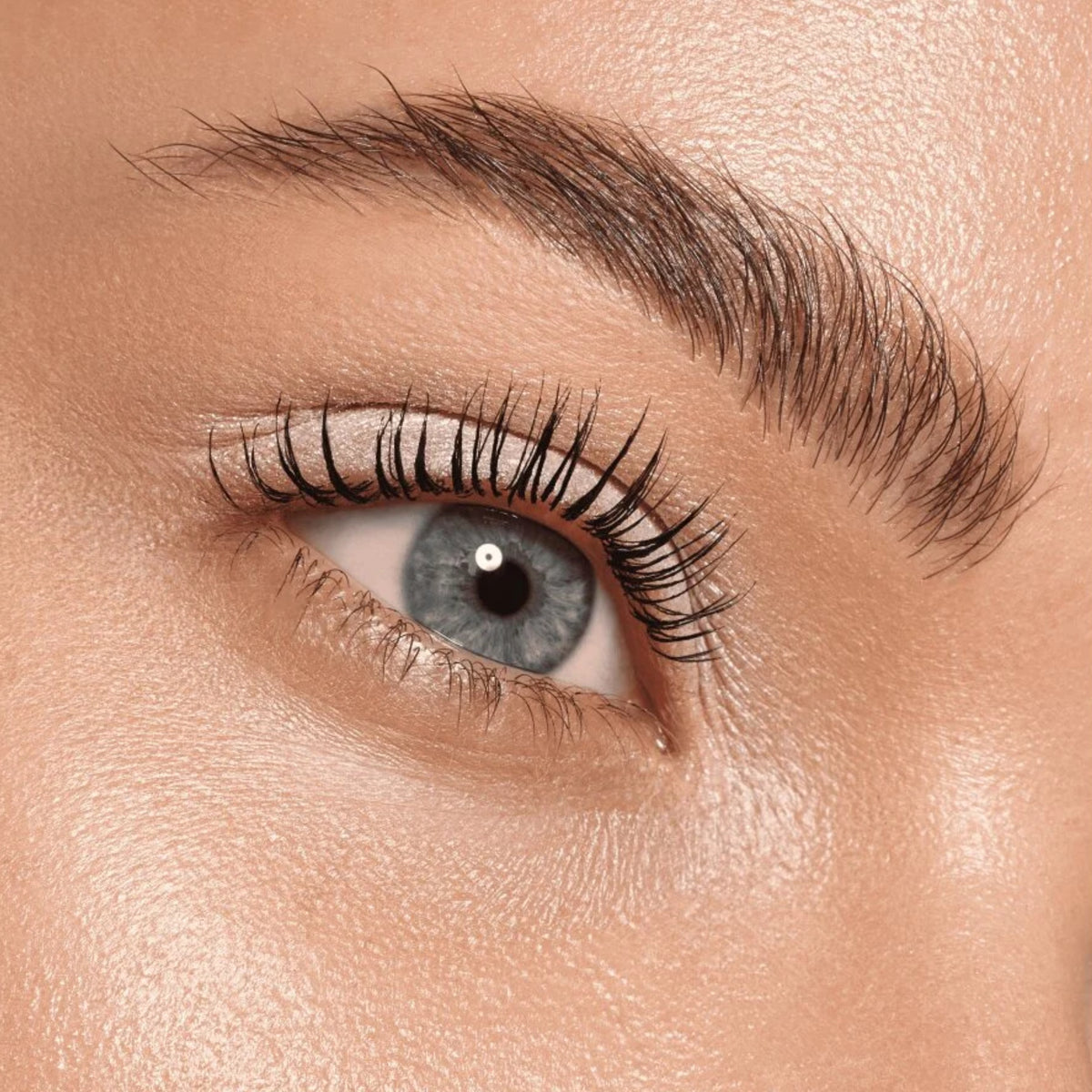 Catrice Sombra De Ojos Art Couleurs - 460 Frosted Dust
