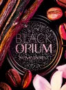 Black Opium Le Parfum 50ml Yves Saint Laurent