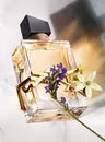 Libre Eau de Parfum 30Ml Yves Saint Laurent